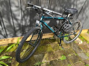 IMG_1356
