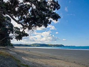 orewa-beach-768x509