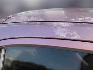 IMG_7378