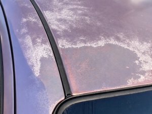 IMG_7379