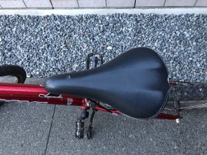IMG_0556