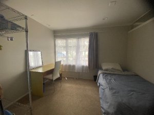IMG_0281