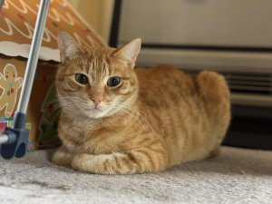 7524669e-a26d-4f6a-a0a0-3b0a7f0c0d89
