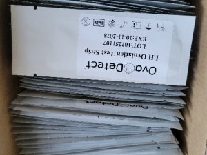 1000048013
