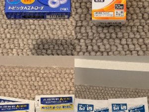 0EBE4279-BF00-4BA4-AC16-B7EC083CF9E6