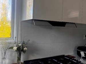 IMG_0587
