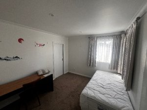 IMG_2665_Original
