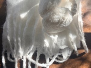 IMG_0723