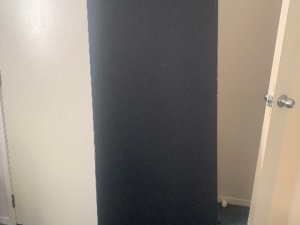 IMG_0299