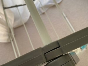 IMG_1951