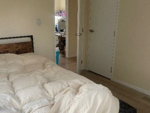IMG_5711