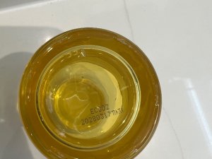 IMG_9979