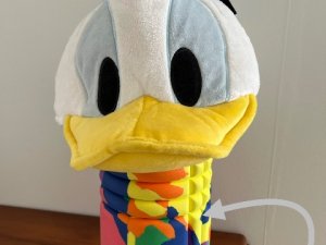 IMG_9810