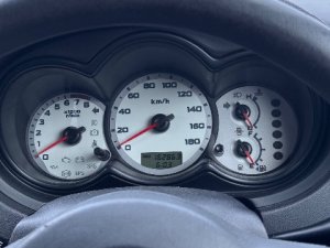 IMG_4100