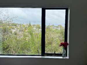 IMG_1784