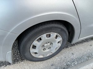 IMG_0755