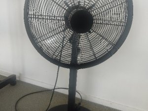 1000003198