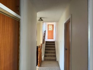 IMG_3026