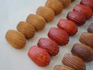 IMG_2008