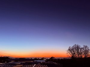 IMG_5997