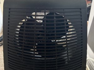 IMG_1296