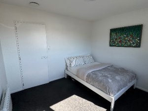 IMG_3992
