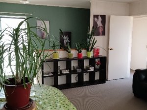 IMG_20260212_103127