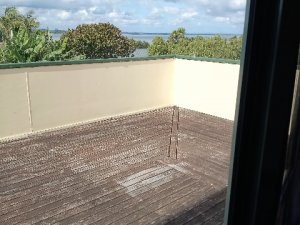 IMG_20260212_103429