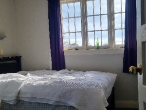 Image_20240101172317