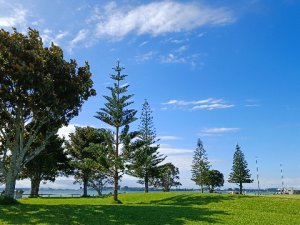 IMG_20220113_163845