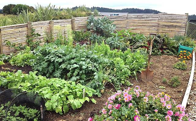 02-4-garden-2