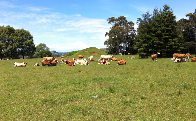 NZの大自然