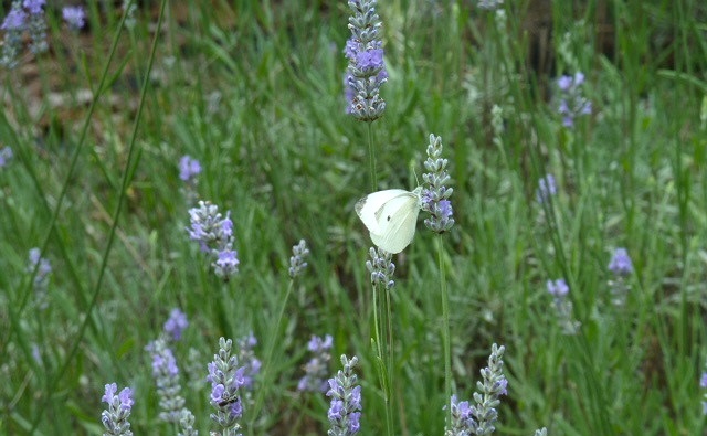 04-1