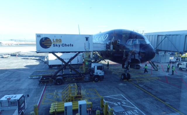 ２０２５年版　NZにワーホリ決断から到着まで。