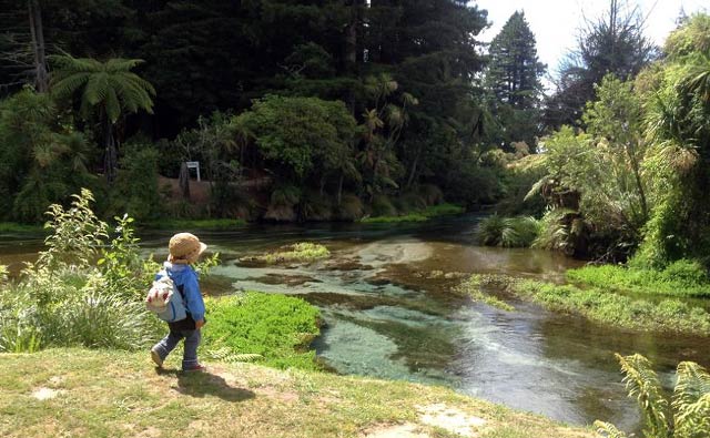 第7回 自然がいっぱい！２歳児と出かけるロトルアのお散歩道