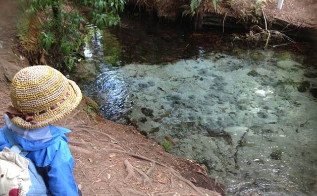 ダンシング・サンド