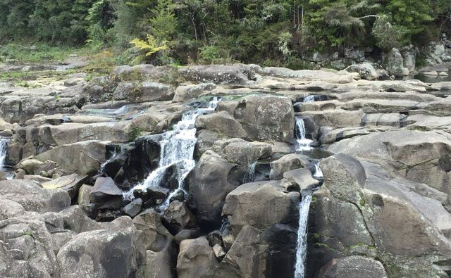 第7回 タウランガの秘宝、McLaren Falls Park