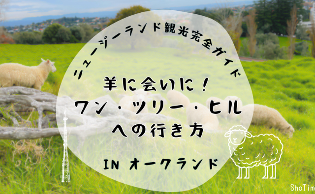 羊に会いに！ワンツリーヒルへの行き方ニュージーランド観光完全ガイド