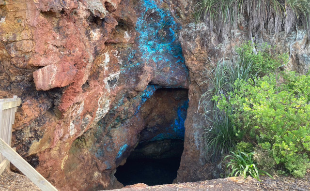 kawau3