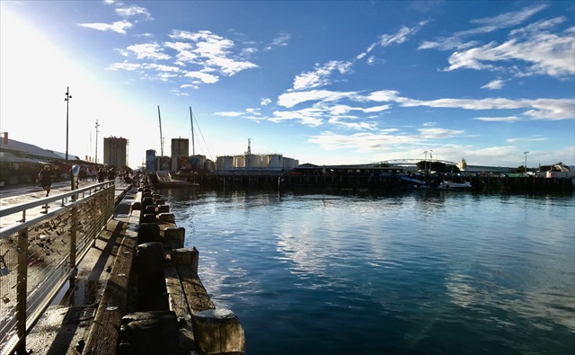 Wynyard Quarter