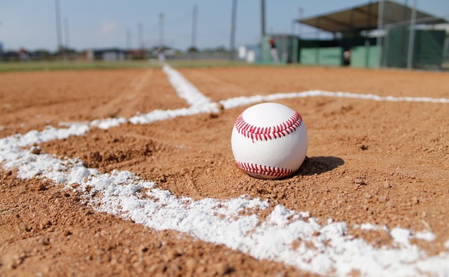 プロ野球観戦 Auckland Tuatara