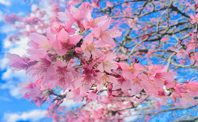 photo-4