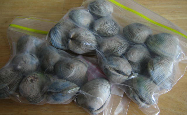 残ったコックルは冷凍保存