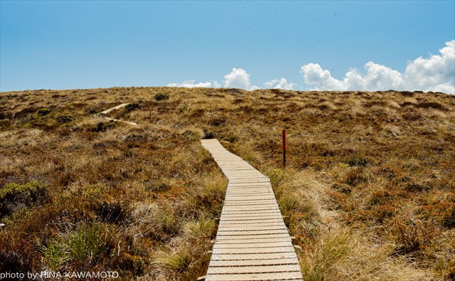 Great Walks-photo-2