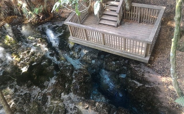 hamurana-6