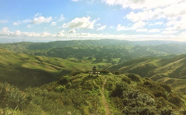 Mt. Kaukau
