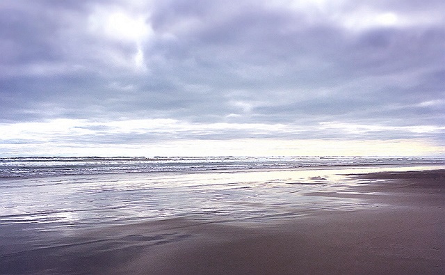 Muriwai Beach