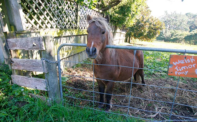 ケルマーナ・ガーデンズ