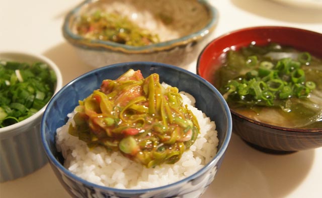 日本との貿易船が運んだワカメの胞子がNZに定着？！わかめ＆メカブが食べ放題！