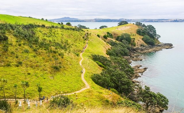 Waiheke Headlans Walk